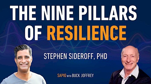 89: The Nine Pillars of Resilience with Stephen Sideroff, PhD