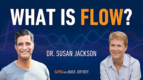 100: What is Flow?