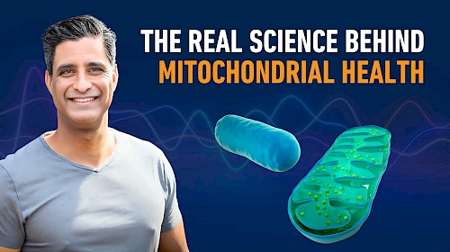 104: The Real Science Behind Mitochondrial Health